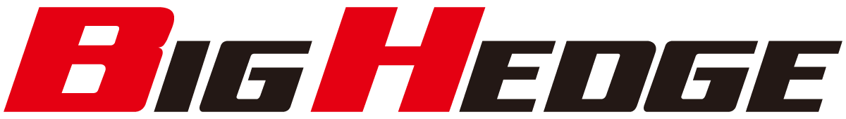 BIGHEDGE